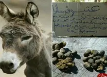 افراد مبتلا به کرونا نزدیک «عنبرنسارا» نشوند