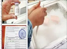 جزییات فروش واکسن کرونای فایزر  در برخی مطب‌ها و تعدادی از باشگاه‌های ورزشی لوکس به قیمت ۲۵ تا ۶۰ میلیون تومان / چهار مرز معروف وارادت فایزر چه بود؟ 