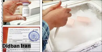 جزییات فروش واکسن کرونای فایزر در برخی مطبها و تعدادی از باشگاههای ورزشی لوکس به قیمت ۲۵ تا ۶۰ میلیون تومان / چهار مرز معروف وارادت فایزر چه بود؟