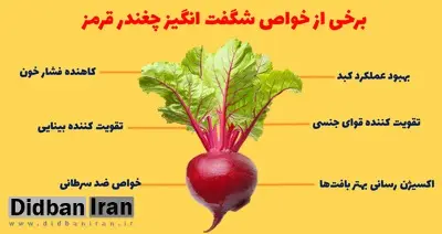 خواص شگفت انگیز لبو؛ از لاغری تا پاکسازی کبد