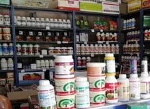 رئیس انجمن تولیدکنندگان سموم ایران: سم های چینی محصولات کشاورزی را آلوده کرده است