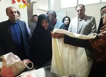 بازدید معاون رئیس جمهور از مرکز کارآفرینی بانوان پیشوا