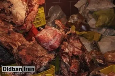 معدومسازی بیش از ۱۰ تن مواد غذایی فاسد و تاریخ مصرف گذشته در شهریور ماه امسال