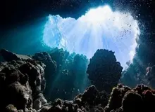 «جمع بزرگی» از موجودات عجیب و غریب زنده برای اولین‌بار در عمق بیش از ۹ کیلومتری اقیانوس دیده شدند