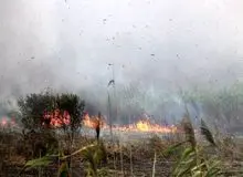 ۳ هکتار از تالاب انزلی در آتش سوخت