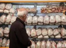 مرغ ارزان شد