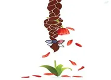 ستاد امر به معروف تهران: افراد بی‌حجاب آینده خود را در معرض سقوط قرار می‌دهند/ کارتونی با موهای بافته شده با پاپیون پرچم‌های اسرائیل و آمریکا