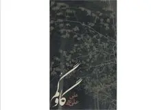 چرا باید رمان «گاو گُم» را خواند؟