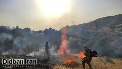 فرماندار کهگیلویه: دامنه آتش منطقه حفاظت شده خائیز در حال گسترش است