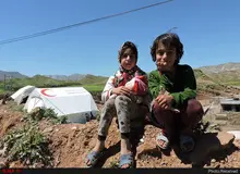 در کمپِ "معمولان" جای زندگی تنگ است/ قطب انجیر سیاهِ ایران در انتظار کمک