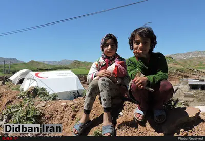 در کمپِ "معمولان" جای زندگی تنگ است/ قطب انجیر سیاهِ ایران در انتظار کمک