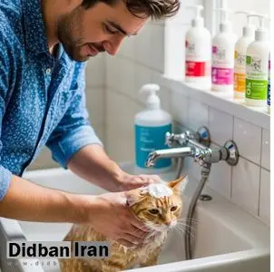 ۱۰ تا از بهترین شامپو های گربه (ضد ریزش، ضد کک، ضد قارچ)