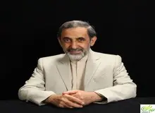 ولایتی: تصمیم قدرتمندانه می‌گیریم / همه گزینه‌ها روی میز است
