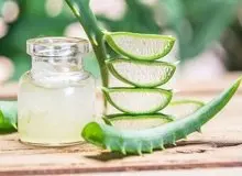 خواص و مضرات گیاه دارویی «آلوئه‌ورا» را بشناسید
