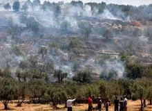 ژاپن و اتحادیه اروپا وخامت اوضاع در کرانه باختری را محکوم کردند