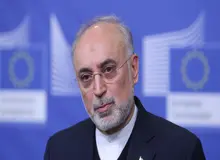 علی اکبر صالحی: خرابکاری در نطنز توسط آژانس و کشورهای عضو محکوم شود/ ایران حق دارد برای محافظت از تاسیسات خود هر کاری انجام دهد
