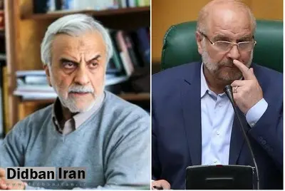 هاشمی‌طبا : شاید «قالیباف» مثل قضیه تخلفات شهرداری از خرید سیسمونی توسط همسرش خبر نداشت
