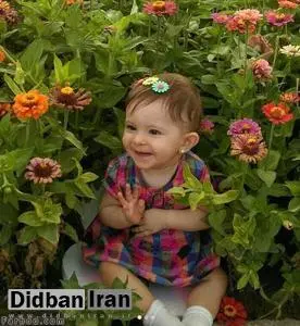 دادستان پاکدشت: متهم ادعا میکند، وقتی خودرو را رها کرده، هنوز بنیتا زنده بوده است