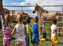 شعارهای دولت های راست گرا در کشور های اروپایی/ ایتالیا:  فرزند سوم بیاورید، زمین بگیرید/ لهستان: مانند خرگوش زاد ولد کنید