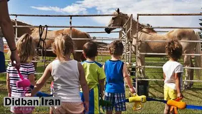 شعارهای دولت های راست گرا در کشور های اروپایی/ ایتالیا: فرزند سوم بیاورید، زمین بگیرید/ لهستان: مانند خرگوش زاد ولد کنید