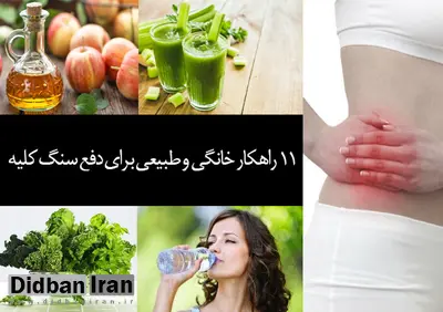 ۱۱ درمان سریع خانگی «سنگ کلیه»