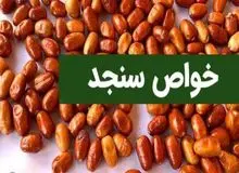 خواص بی نظیر سنجد از درمان سرماخوردگی تا جلوگیری از بالا رفتن قند تا کاهش فشار خون/ روش تهیه معجون زیبایی پوست "برگ سنجد"
