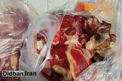 کشف بیش از ۹ هزار کیلوگرم گوشت و مرغ غیربهداشتی در یک سردخانه 
+ عکس