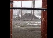 ببینید | بارش شدید برف در نورآباد لرستان+فیلم 