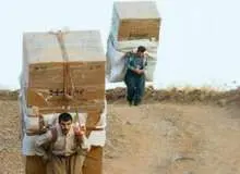 سرمای شدید جان کولبر سردشتی را گرفت
