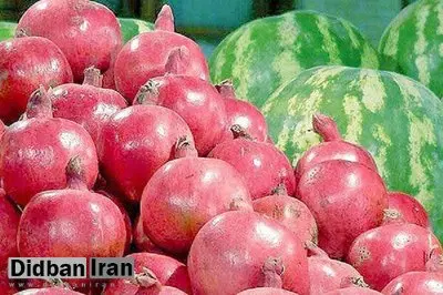 انار نسبت به سال گذشته دو برابر شد/ افزایش ۵۰ درصدی قیمت هندوانه