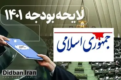 بجای حذف ارز۴۲۰۰تومانی، بودجه دستگاههای آویزان را حذف کنید