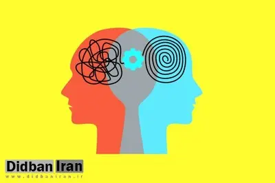 درون‌گرا، برون‌گرا یا میان‌گرا؛ شما کدام هستید؟