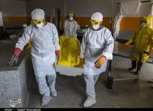 عضو هیئت علمی دانشگاه علوم پزشکی بقیةالله(عج): نادیده‌گرفتن طب سنتی در بیماری کرونا به‌قیمت جان مردم تمام شد
