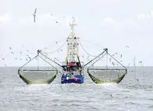 چینی ها زندگی ساحل نشینان را مختل کردند/شناورهای پوسیده چینی در آب‌های جنوبی ایران چه می‌کنند؟