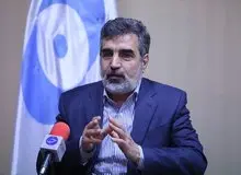 توضیح کمالوندی درباره اقدام ایران در حذف دوربین‌های آژانس