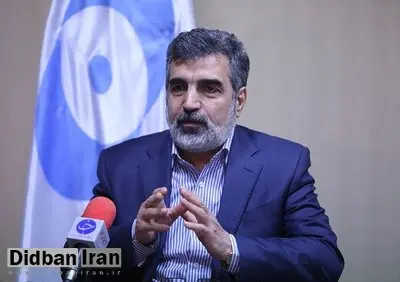 سخنگوی سازمان انرژی اتمی: به نامه آژانس درباره نحوه بهره‌برداری از فردو امروز پاسخ دادیم