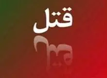 زن مطلقه قصد ازدواج کرد؛ همسر سابقش برای کشتن واسطه ازدواج جدید دست به تفنگ شد
