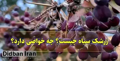 ۸ خاصیت زرشک سیاه/ از کاهش کلسترول تا درمان فشار خون