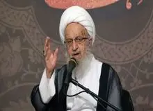 آیت‌الله مکارم شیرازی: وکلا باید ساماندهی شوند
