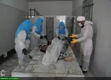 مجموع جان باختگان کرونایی در کشور به ۵۴ هزار و ۵۷۴ نفر رسید/ آخرین آمــــار