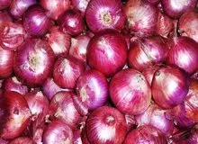 علت گرانی شدید قیمت پیاز مشخص شد/ پیاز در مزرعه چه قیمتی دارد؟
