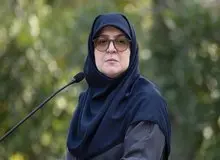 مهاجرانی: آمار کلی جان‌باختگان به دستور رئیس‌جمهور منتشر شد و اسامی هم به دستور پزشکیان منتشر خواهد شد