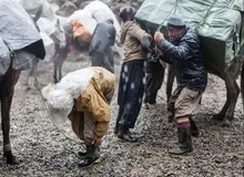 فلاحت پیشه : در  ازای یک ‌میلیارد قاچاق، ٩‌ میلیون تومان سهم کولبران می‌شود