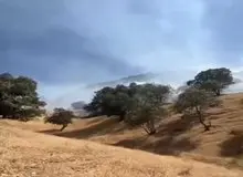 آتش‌سوزی جنگل در ارتفاعات نخجیر ایلام