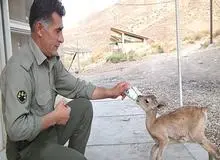  لایحه حمایت از محیط بانان به مجلس رفت