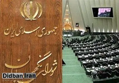 شورای نگهبان نقشی در زمینه معیشت مردم ندارد
