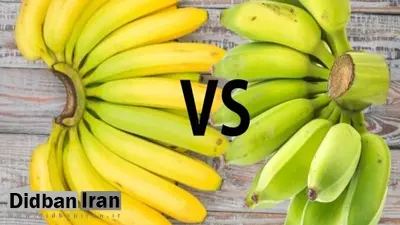 تفاوتهای موز سبز و زرد از لحاظ خواص