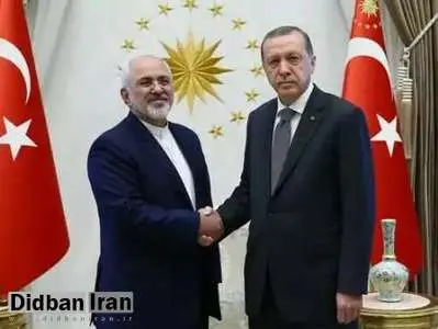 ظریف با اردوغان دیدار کرد