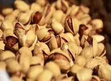 کاهش ۶۱ درصدی صادرات پسته طی ۱۰ ماهه گذشته / تعداد مشتریان ایران از ۷۲ کشور به ۵۲ کشور رسید