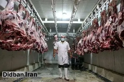 احتمال افزایش مجدد قیمت گوشت قرمز با حذف ارز ترجیحی!